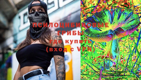 спиды Арсеньев