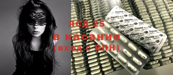 PSILOCYBIN Армянск