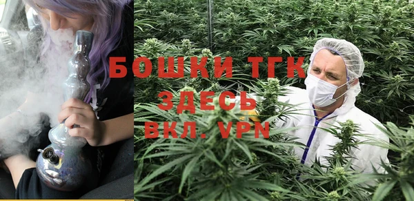 спиды Арсеньев