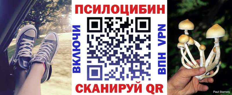 сколько стоит  Гатчина  mega ТОР  Галлюциногенные грибы MAGIC MUSHROOMS 