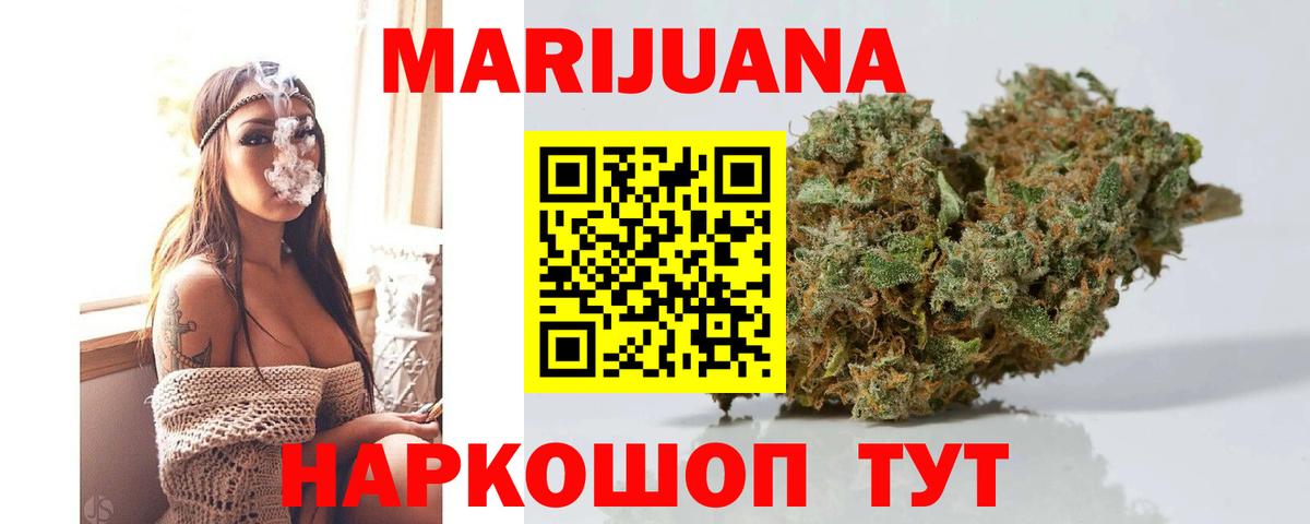 Гатчина  Каннабис планчик  Вход с VPN  Каннабис OG Kush  Марихуана Ganja 